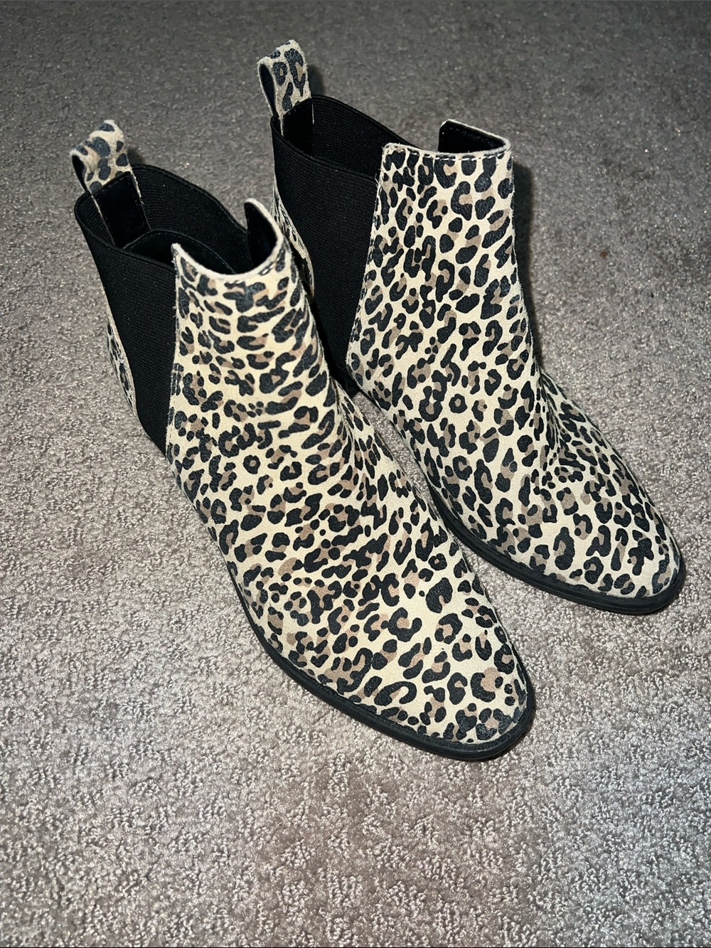 Dolce Vita Tristan Leopard Print Chelsea Ankle Boots